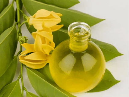 Aromatherapie zur Verbesserung der Macht